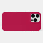 Arktische Klasse Iphone 16 Pro Case Winnipeg Manit Hülle (Rückseite (Horizontal))