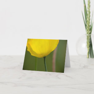 Arktische Mohnblumen-Anmerkungs-Karte Karte