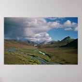 Arktische Nationale Schutzhütte Poster (Vorne)