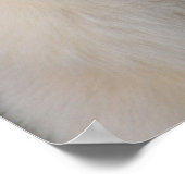 Arktische Portraits Poster (Ecke)