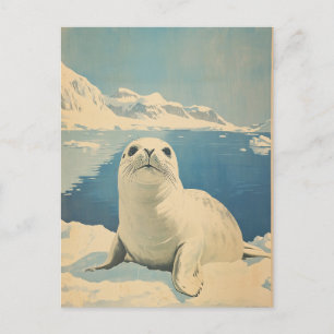 Arktische Robbe vintage Postkarte