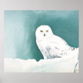 Arktische Schneeauwl Poster (Vorne)