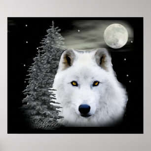 Arktische Schneefolle Poster