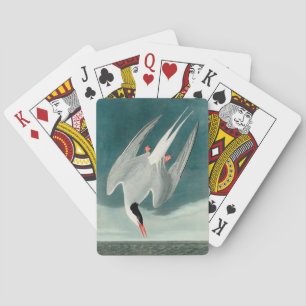 Arktische Seeschwalbe Audubon Vogel Wildlife-Maler Spielkarten