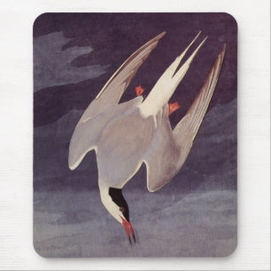 Arktische Seeschwalbe von John James Audubon, Vint Mousepad