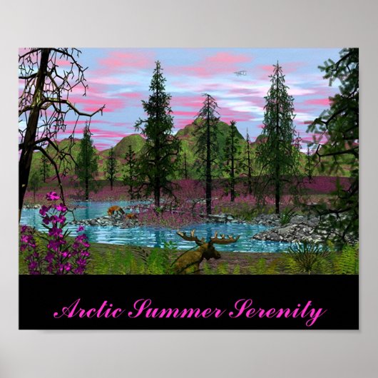 Arktische Sommerruhe Poster (Vorne)