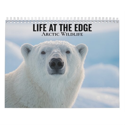 Arktische Tierwelt 2027 Kalender (Titelbild)