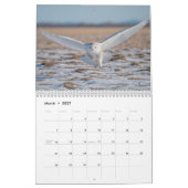 Arktische Tierwelt 2027 Kalender (Mär 2027)