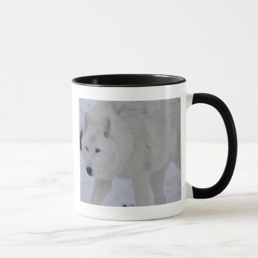 Arktische Wolf-Tasse Tasse (Rechts)