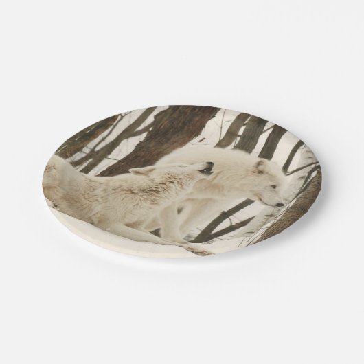 Arktische Wölfe in Winterpapieren Teller (Schrägansicht)