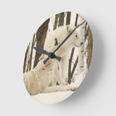 Arktische Wölfe rund Uhr (Winkel)
