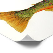 Arktischer Char im Piazza della Riforma Poster (Ecke)