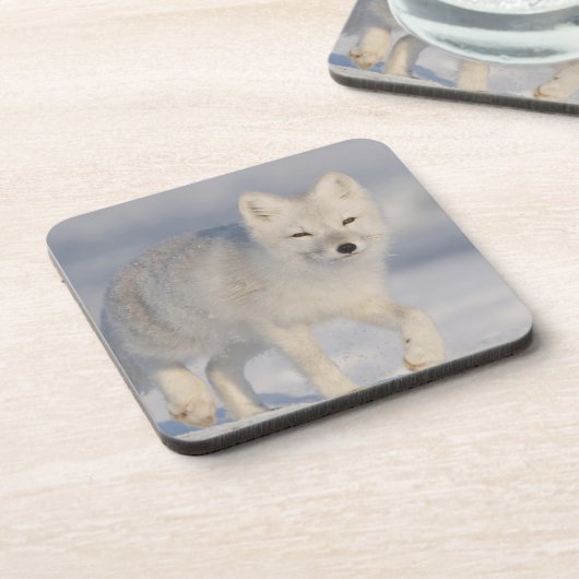 Arktischer Fox, Alaska Getränkeuntersetzer (Linke Seite)