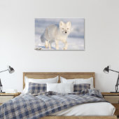 Arktischer Fox, Alaska Leinwanddruck (Insitu (Schlafzimmer))