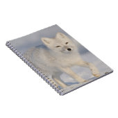 Arktischer Fox, Alaska Notizblock (Rechte Seite)