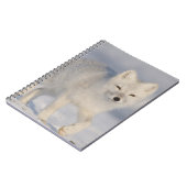 Arktischer Fox, Alaska Notizblock (Linke Seite)