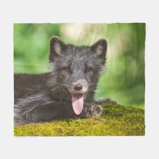 Arktischer Fox Fleecedecke (Vorderseite (Horizontal))