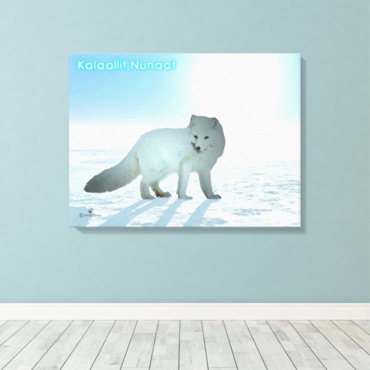 Arktischer Fox - Grönland Leinwanddruck (Insitu (Holzboden))