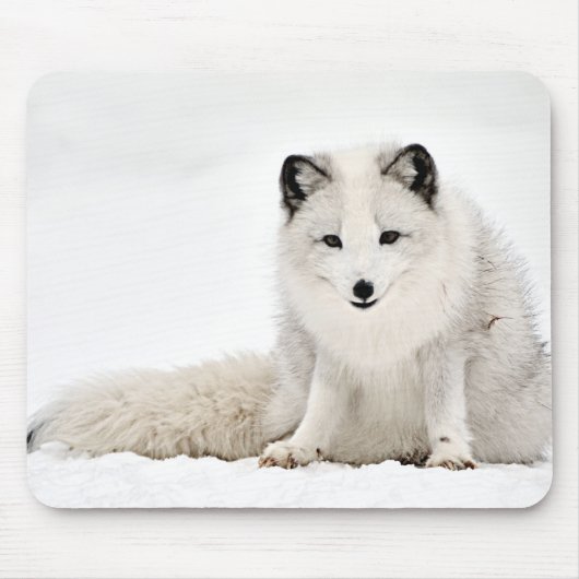 Arktischer Fox im Schnee Mousepad (Vorne)