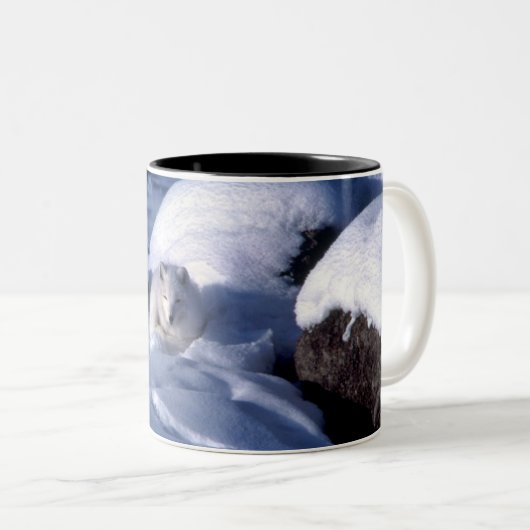 Arktischer Fox im Schnee Zweifarbige Tasse (VorderseiteRechts)