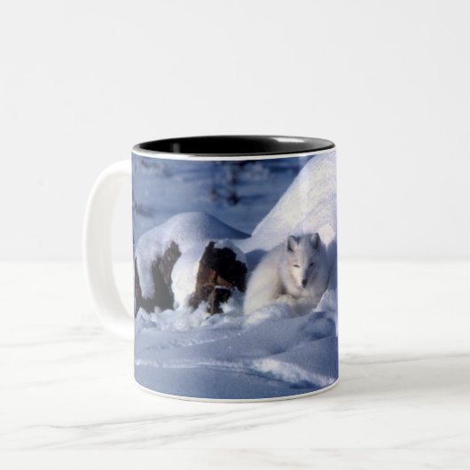 Arktischer Fox im Schnee Zweifarbige Tasse (Vorderseite Links)