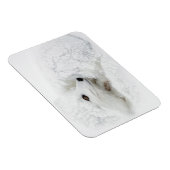 Arktischer Fox im Winter aufgerollt Magnet (Rechte Seite)