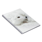 Arktischer Fox im Winter aufgerollt Notizblock (Rechte Seite)