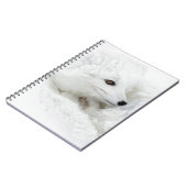 Arktischer Fox im Winter aufgerollt Notizblock (Linke Seite)