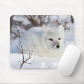 Arktischer Fox im Winter Mousepad (Mit Mouse)