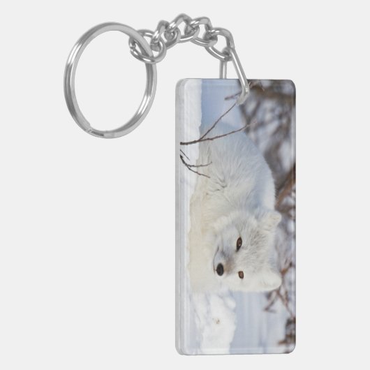 Arktischer Fox im Winter Schlüsselanhänger (Vorderseite links)