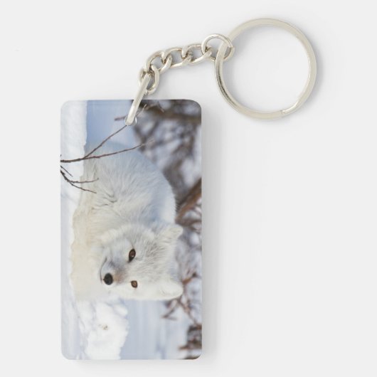 Arktischer Fox im Winter Schlüsselanhänger (Rückseite)