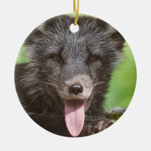 Arktischer Fox Keramik Ornament (Vorne)