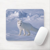 Arktischer Fox Mousepad (Mit Mouse)