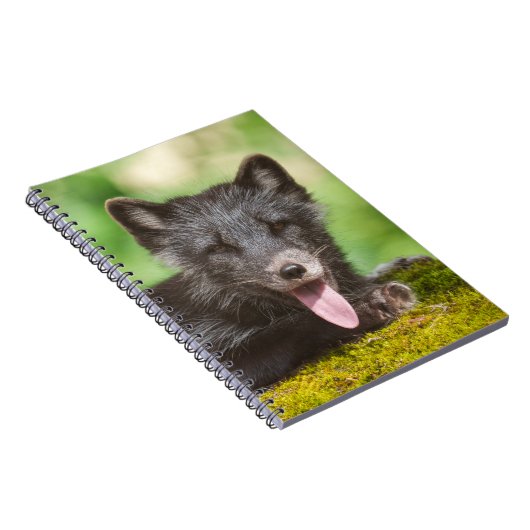 Arktischer Fox Notizblock (Rechte Seite)