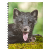 Arktischer Fox Notizblock (Vorderseite)