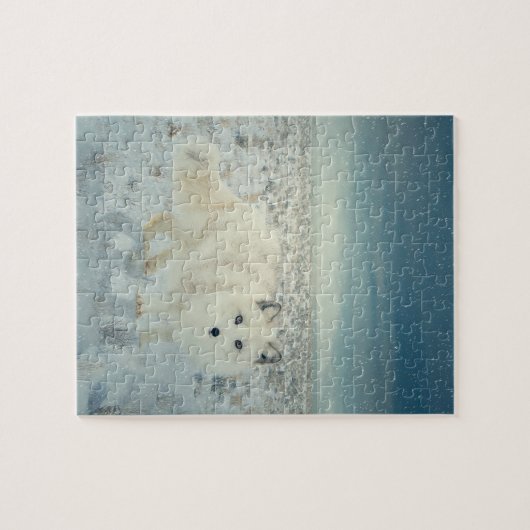 Arktischer Fox Puzzle (Horizontal)