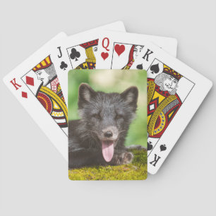 Arktischer Fox Spielkarten