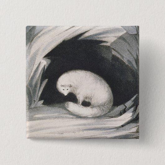 Arktischer Fox, 'von der Erzählung einer zweiten Button (Vorderseite)