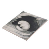 Arktischer Fox, 'von der Erzählung einer zweiten Fliese (Seite)