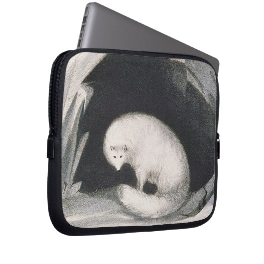 Arktischer Fox, 'von der Erzählung einer zweiten Laptopschutzhülle (Vorne Rechts)