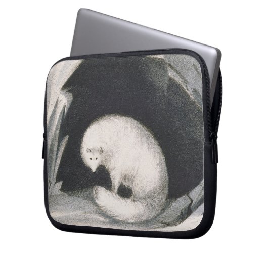 Arktischer Fox, 'von der Erzählung einer zweiten Laptopschutzhülle (Vorderseite Links)