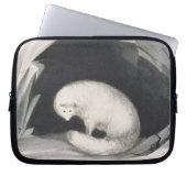 Arktischer Fox, 'von der Erzählung einer zweiten Laptopschutzhülle (Vorderseite)