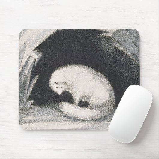 Arktischer Fox, 'von der Erzählung einer zweiten Mousepad (Mit Mouse)