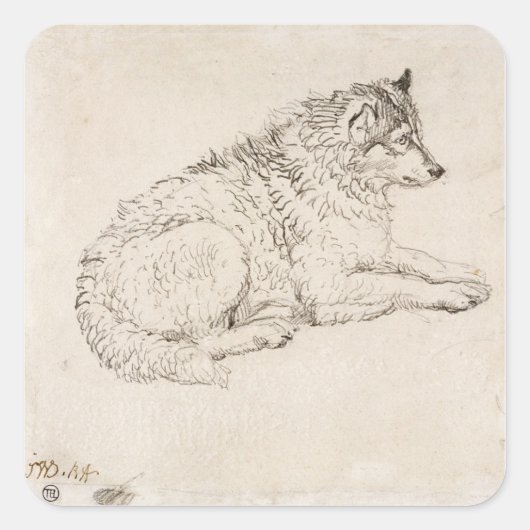 Arktischer Hund, rechts (Bleistift auf Papier) Quadratischer Aufkleber (Vorderseite)