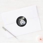 arktischer Schneegolf Runder Aufkleber (Umschlag)