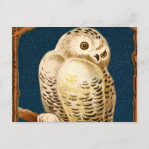 Arktischer Schneevogel - Erster Wintertag Postkarte