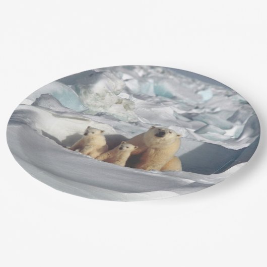 Arktischer Tier-Teller polare Bärn-Mutter-CUBs Pappteller (Schrägansicht)