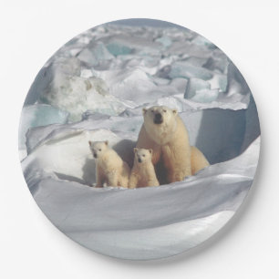 Arktischer Tier-Teller polare Bärn-Mutter-CUBs Pappteller