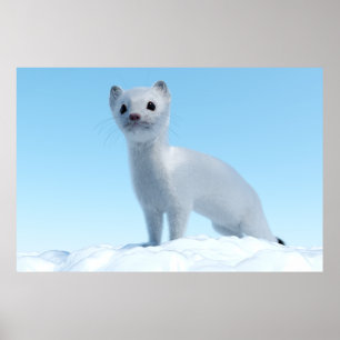 Arktischer Wiesel Charme Poster