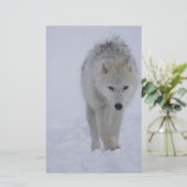 Arktischer Wolf Briefpapier (Stehend Vorderseite)